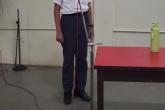 French Day Celebration